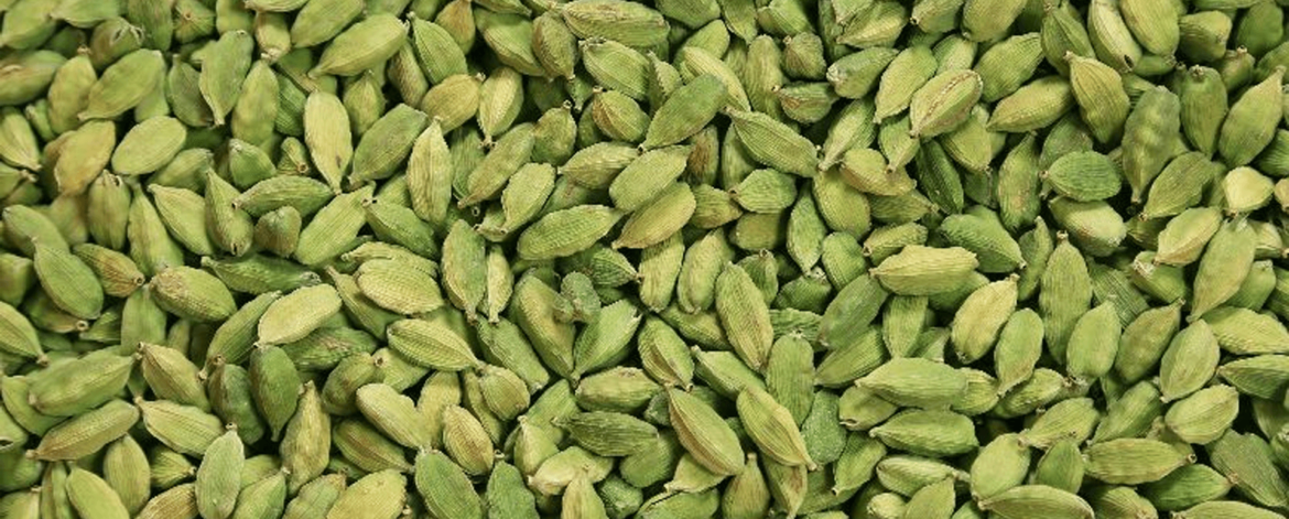 Cardamom bold (1)