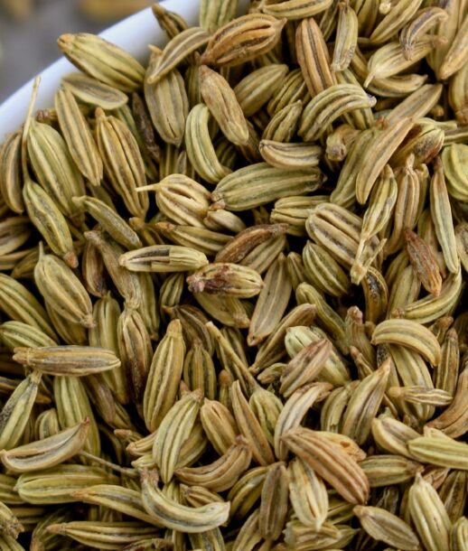 Hossil - Fennel Seeds
