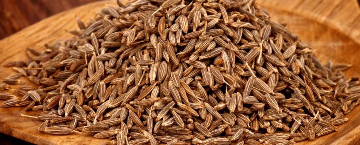 cumin seeds (1)