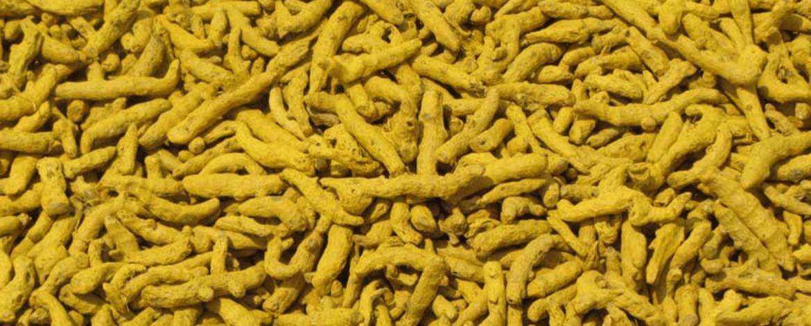 turmeric finger (1)